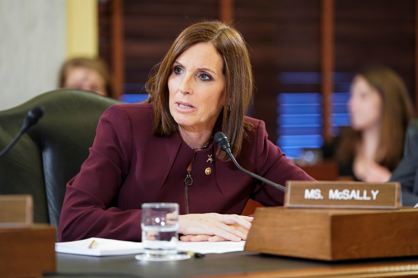 Senator Martha McSally Testimony