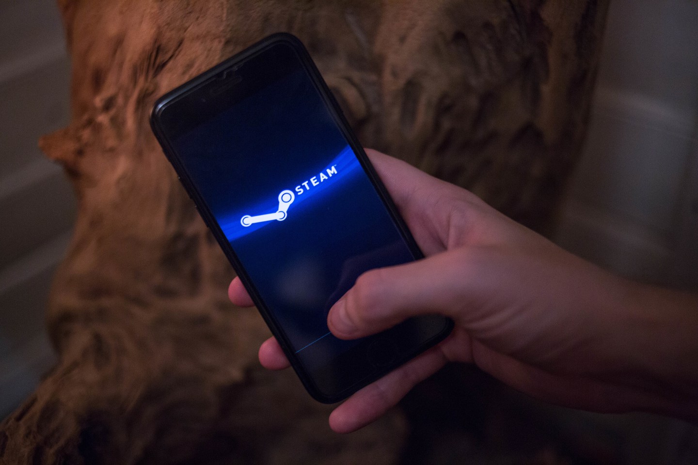 Steam-video game-controversy