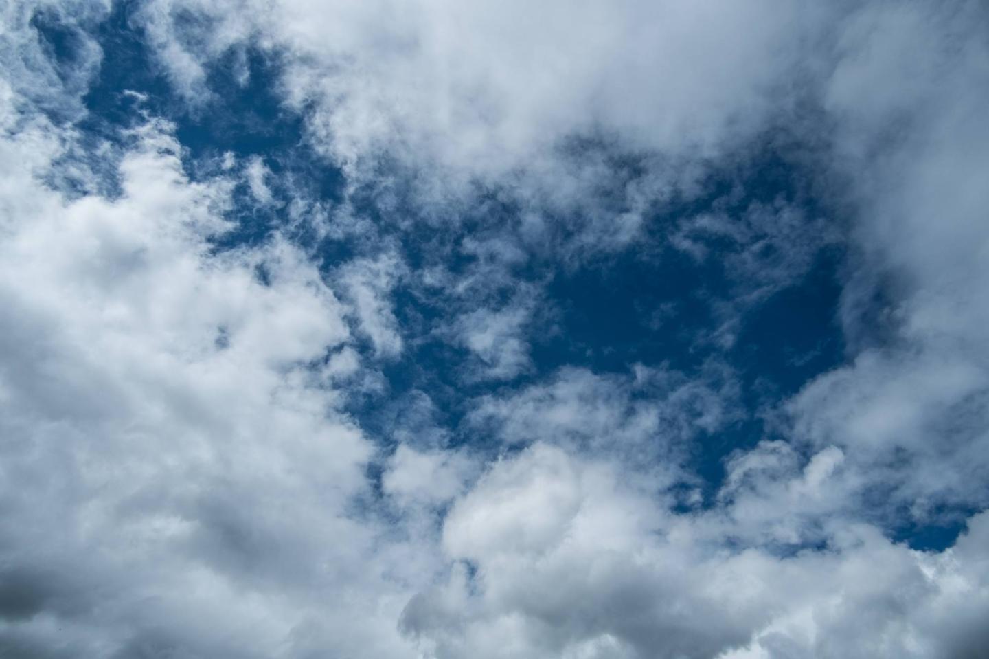 Dell Technologies, Microsoft, and VMware became bigger cloud partners.