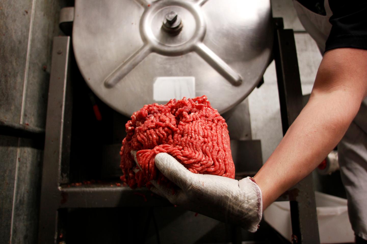 Ground Beef Recall E. Coli