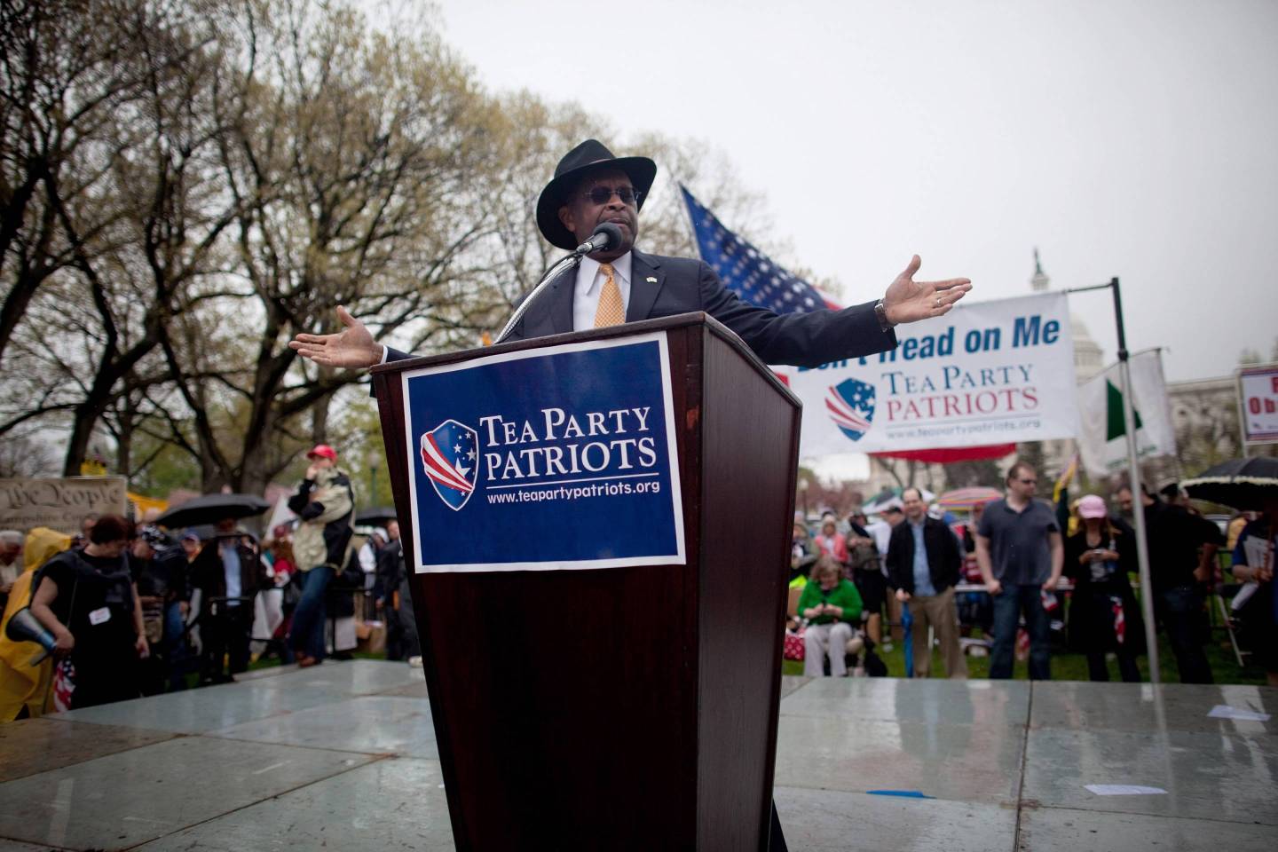 Herman Cain Speaks At Tea Party Patriots' Road To Repeal Rally