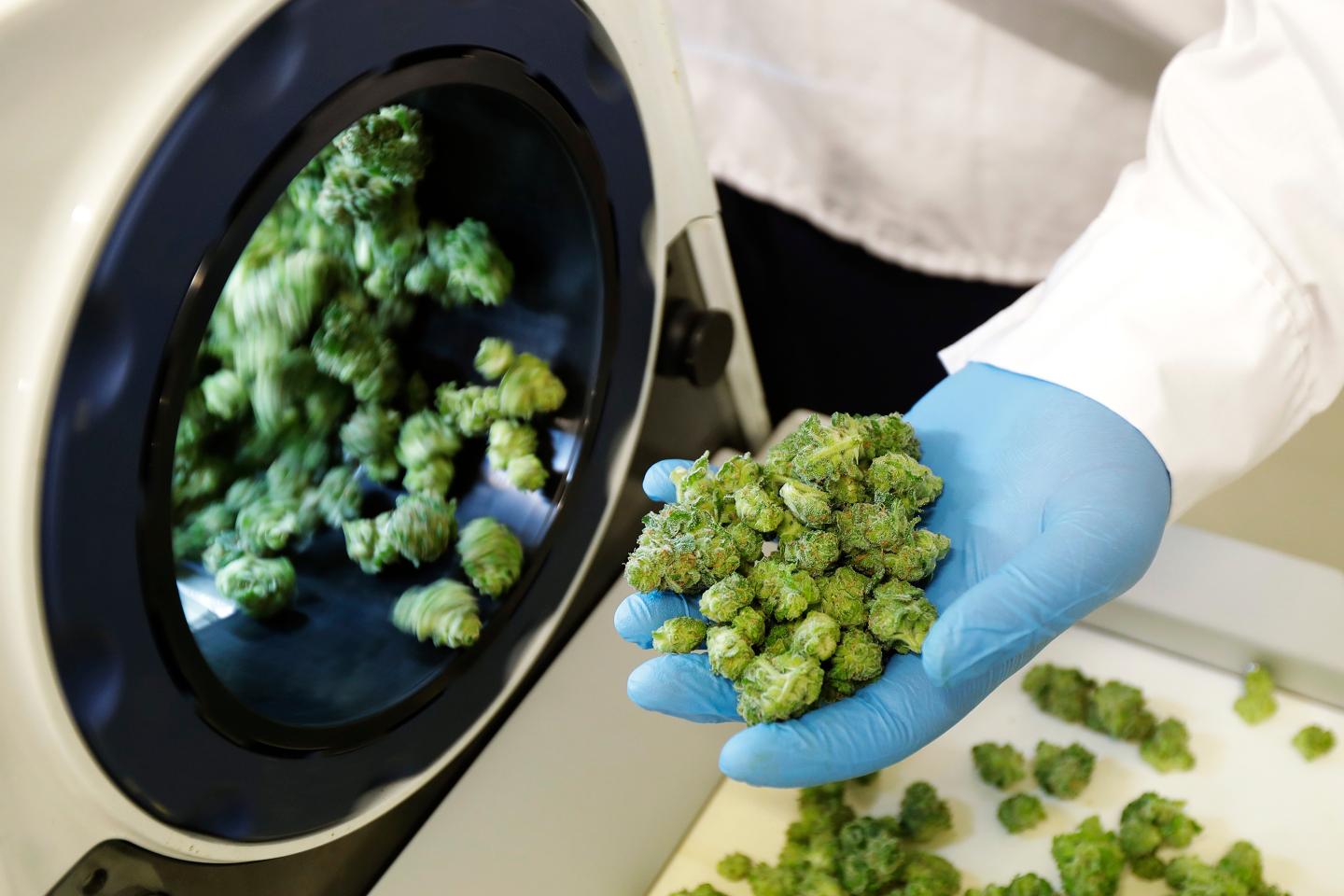 marijuana sales lab