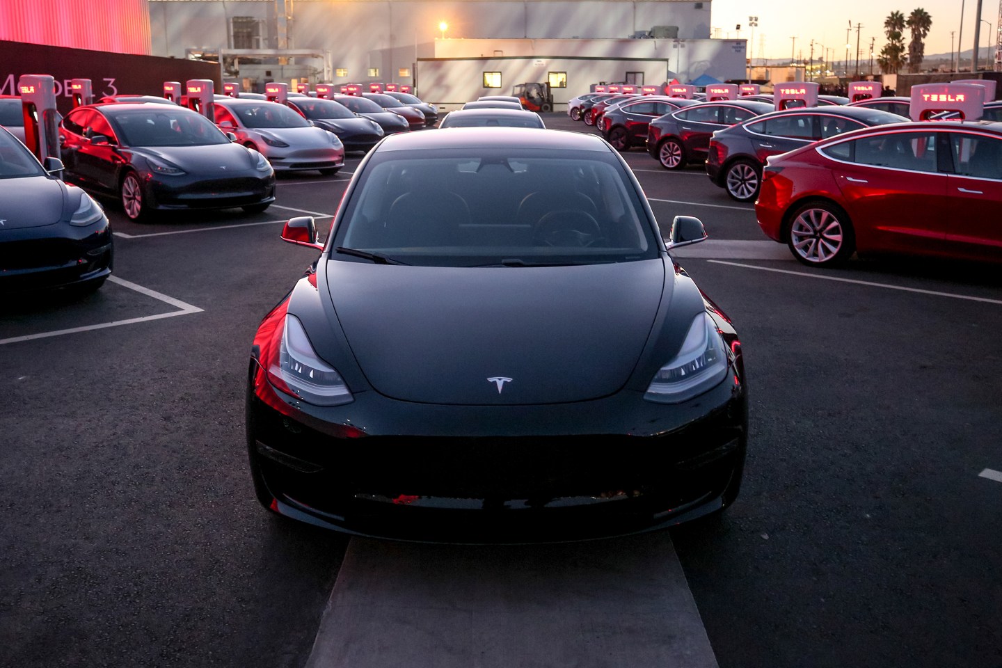 tesla model 3 lot