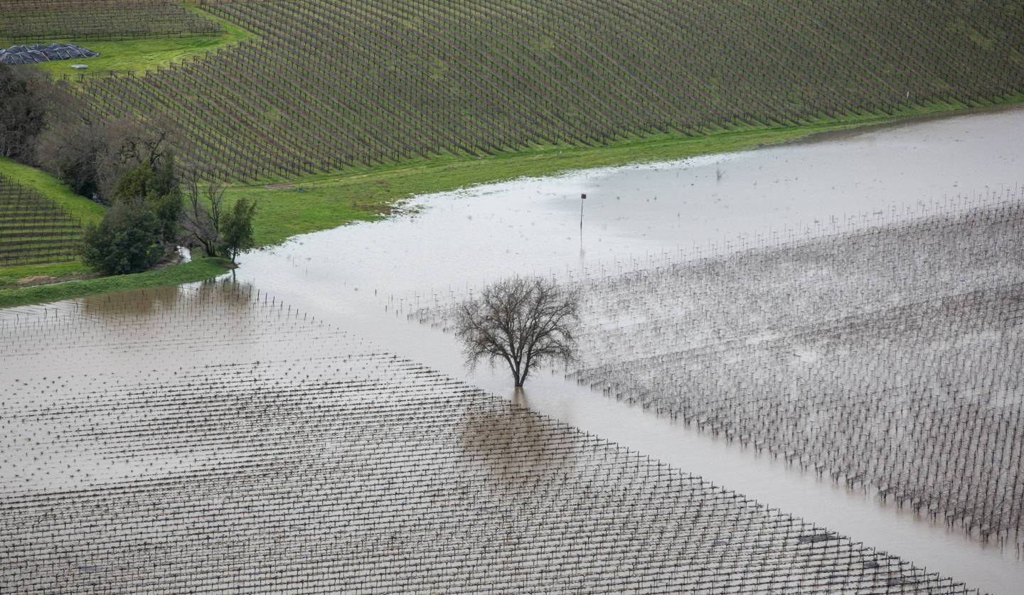 Vineyards and farmland are inundated by widespread flooding.