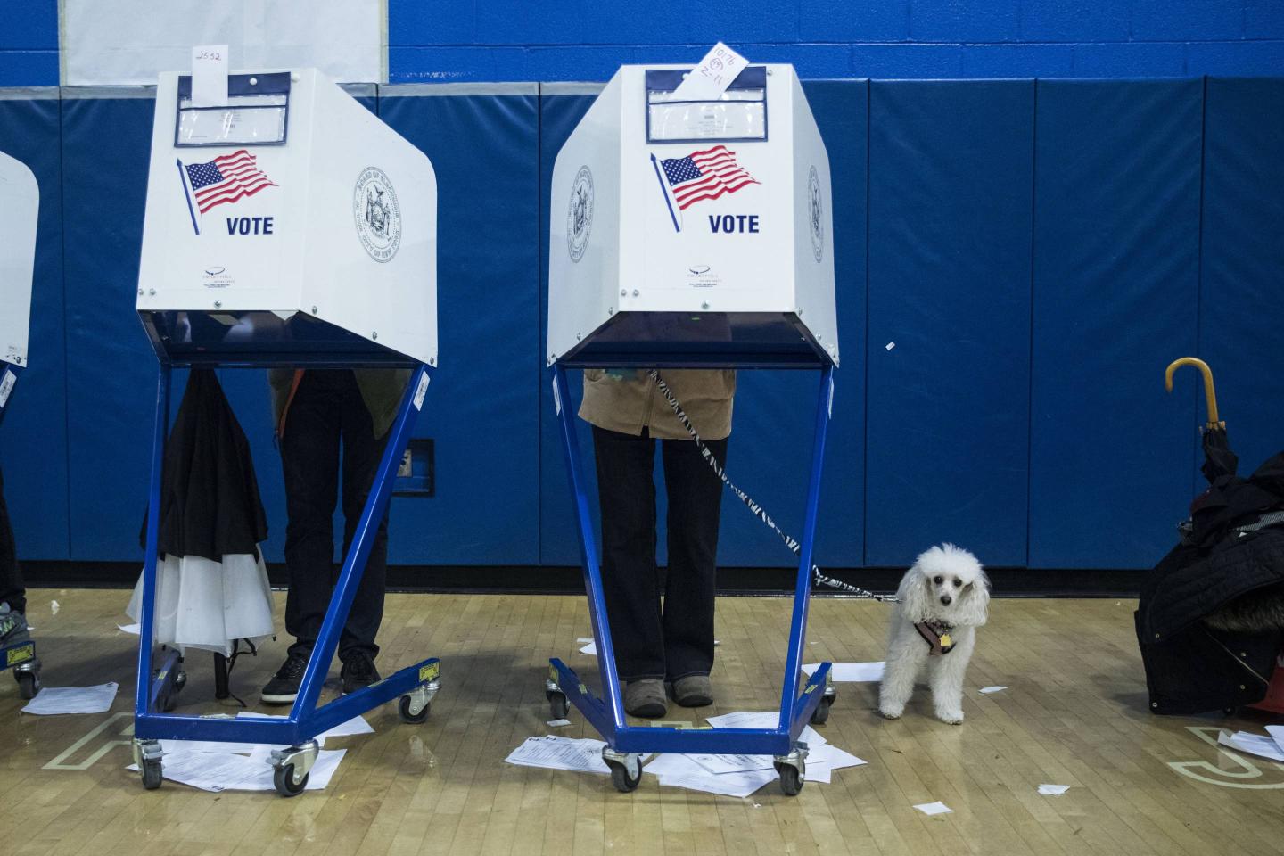 US Midterm Elections