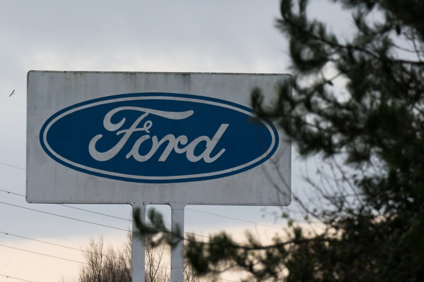 A stained, aging Ford sign