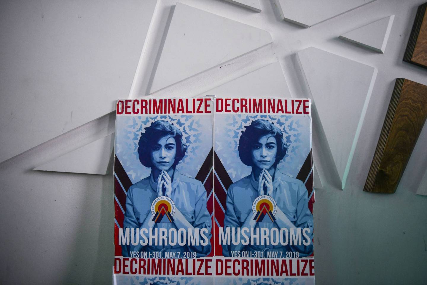 Denver Votes On Nation's First Referendum To Decriminalize Hallucinogenic Mushrooms