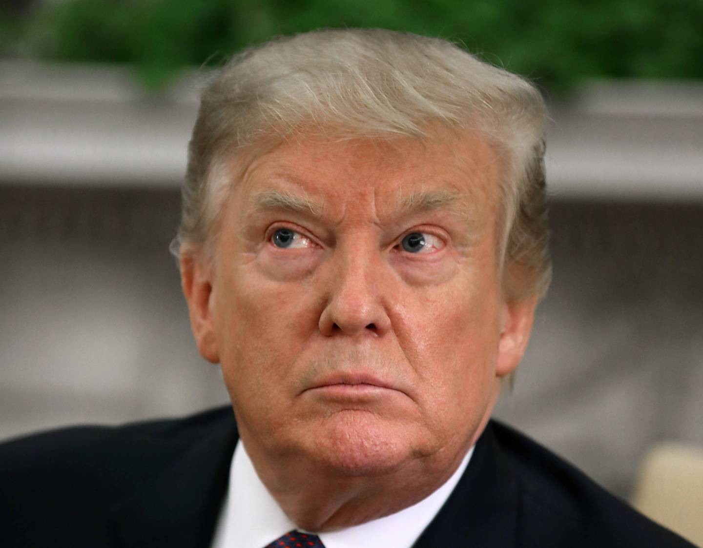 President Donald Trump