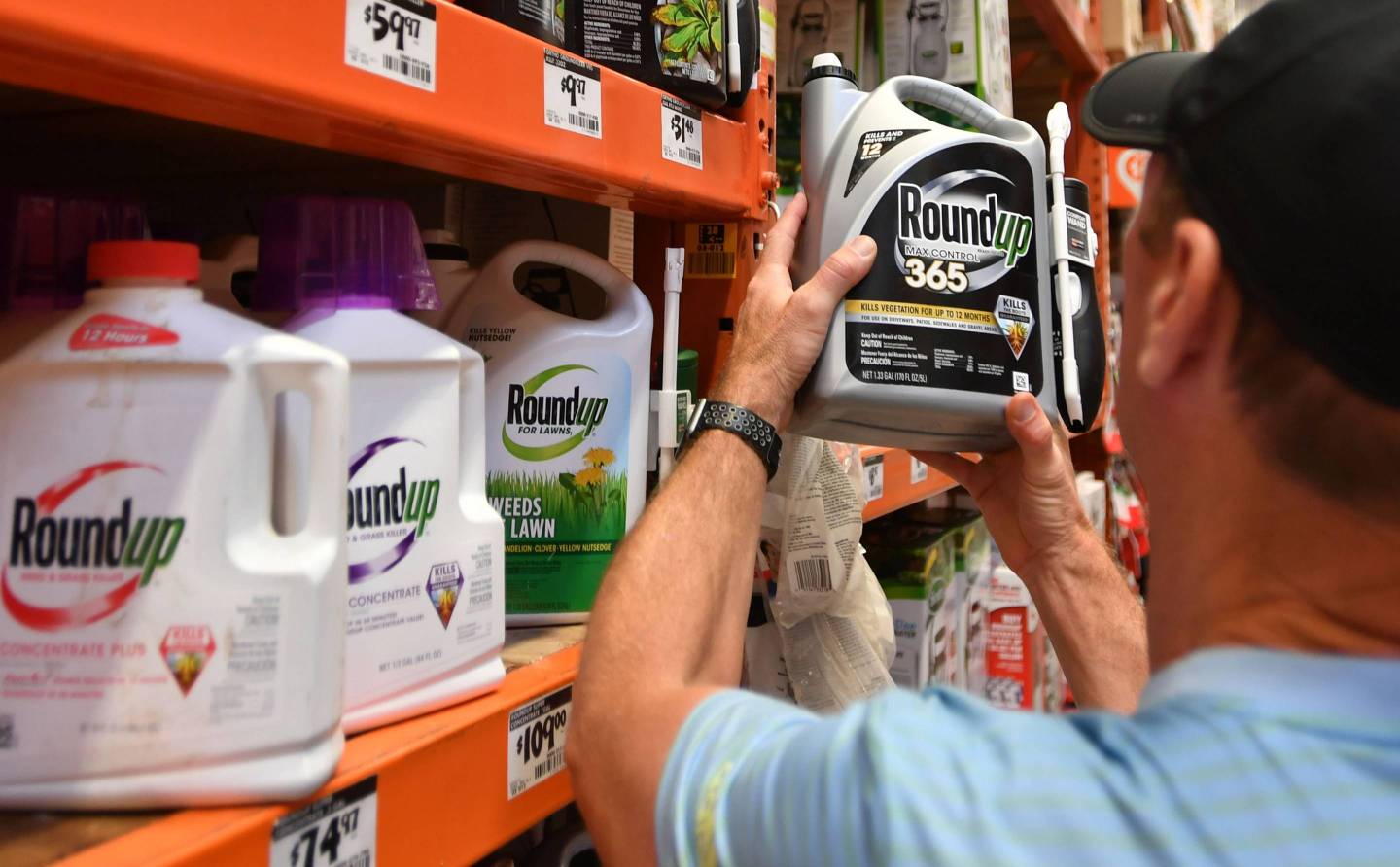 Roundup weed killer