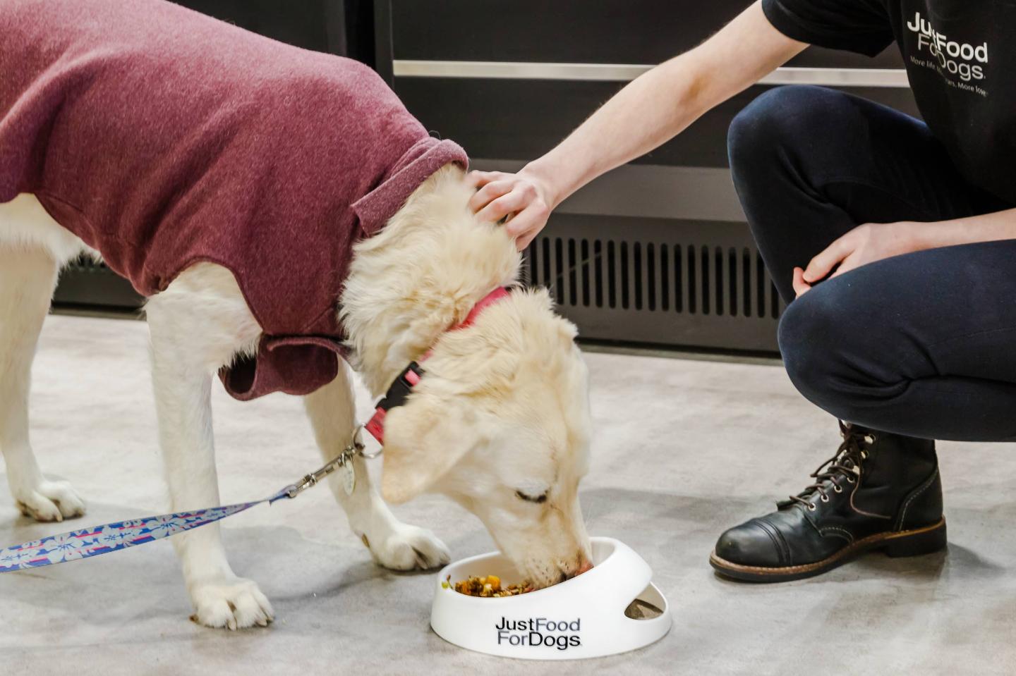 A Wellness Kitchen for Dogs: Petco’s Answer to Amazon and Chewy
