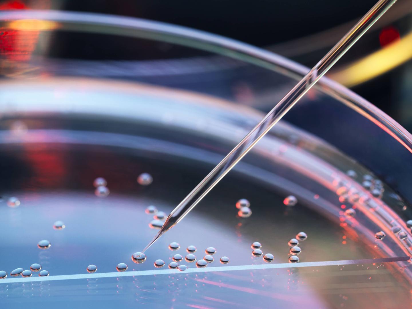Athersys Stem Cell Therapy