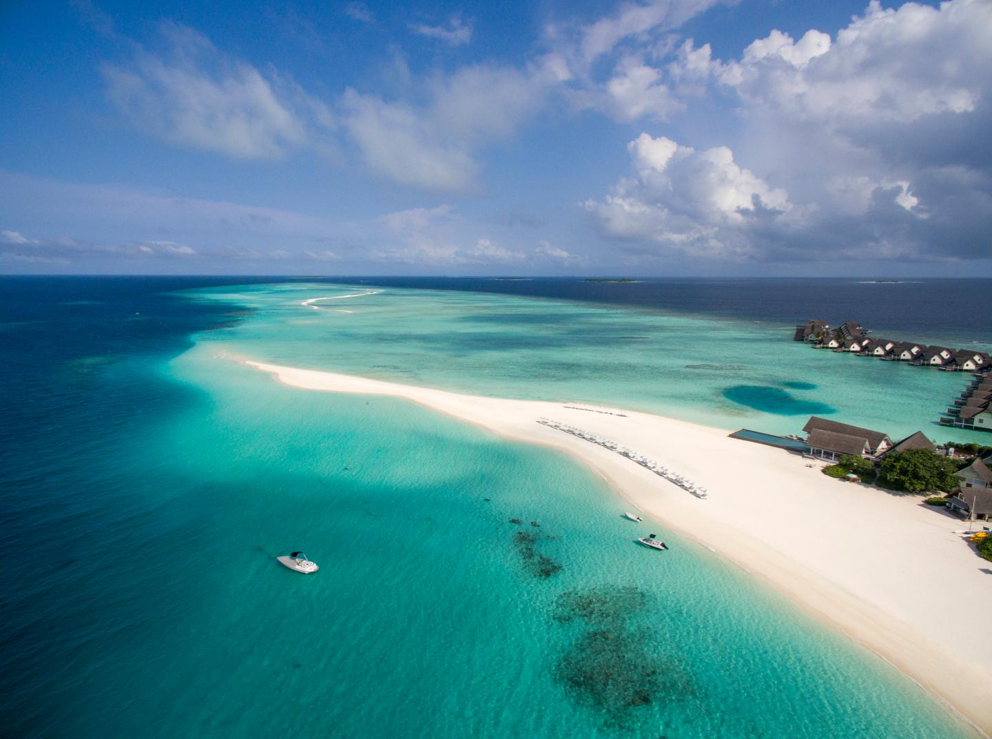 These Sea Creatures Are Another Big Reason to Go to the Maldives