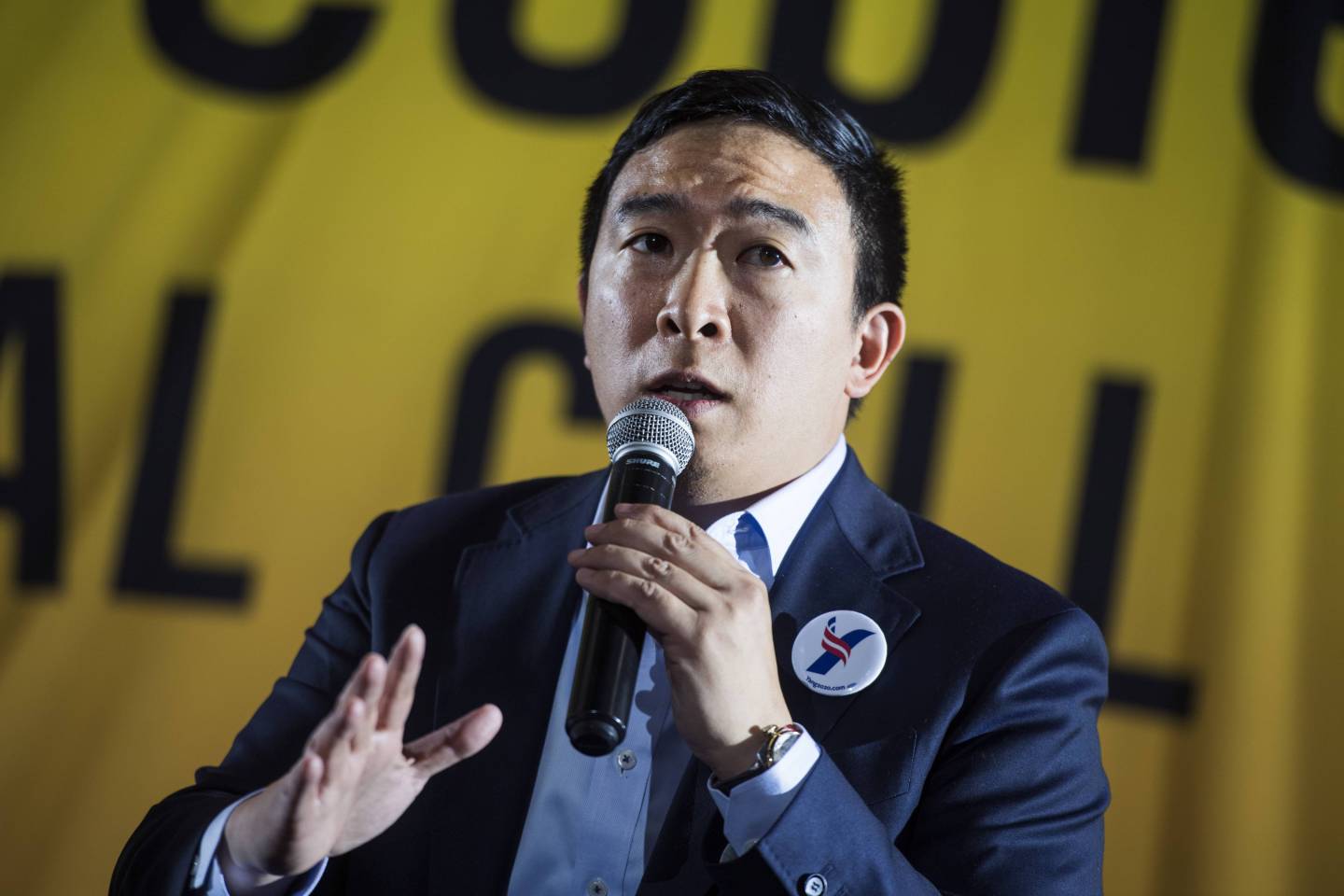 Andrew Yang Democratic Debate