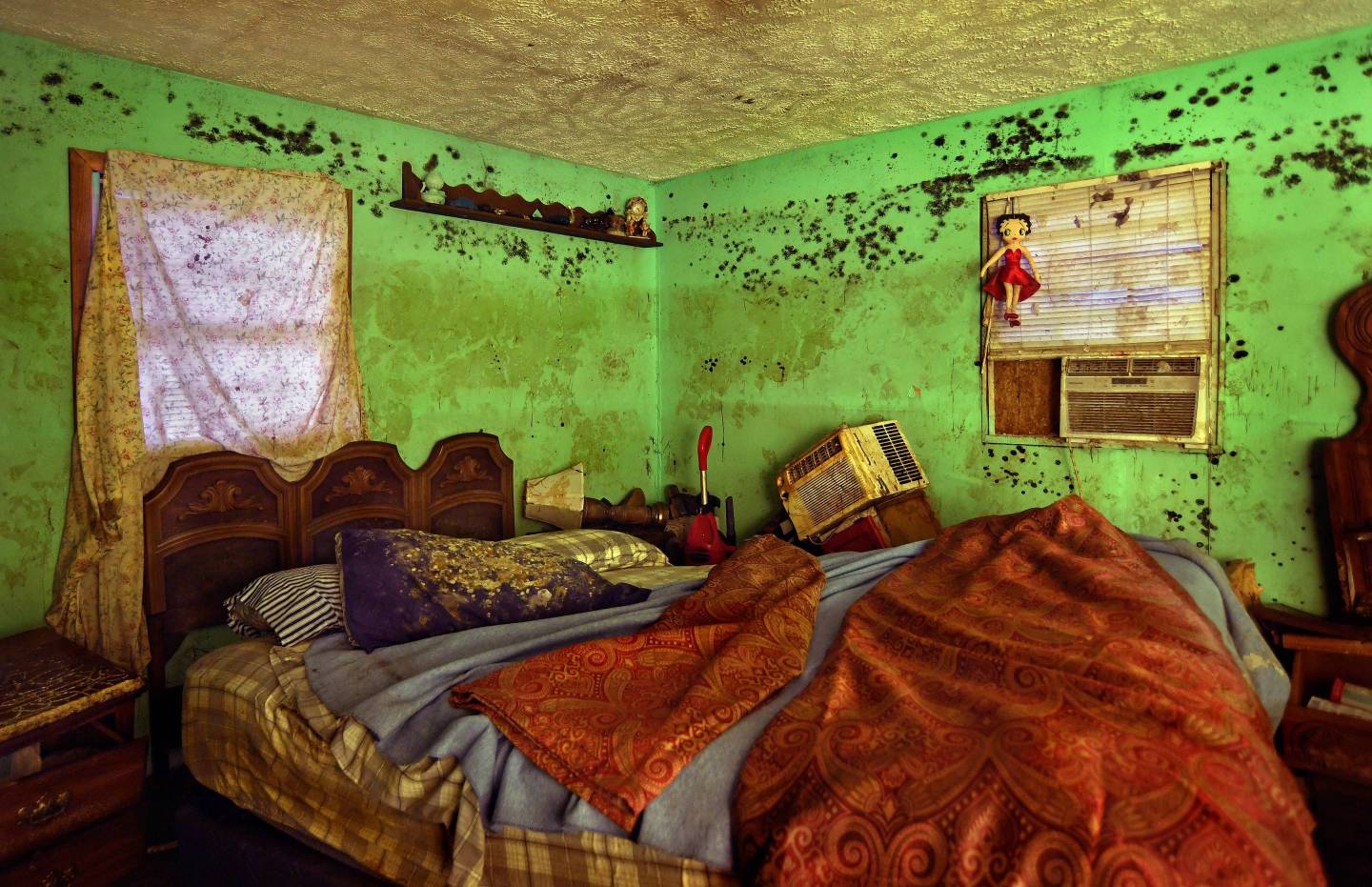 LUMBERTON, NORTH CAROLINA - OCTOBER 16: An mold filled room si