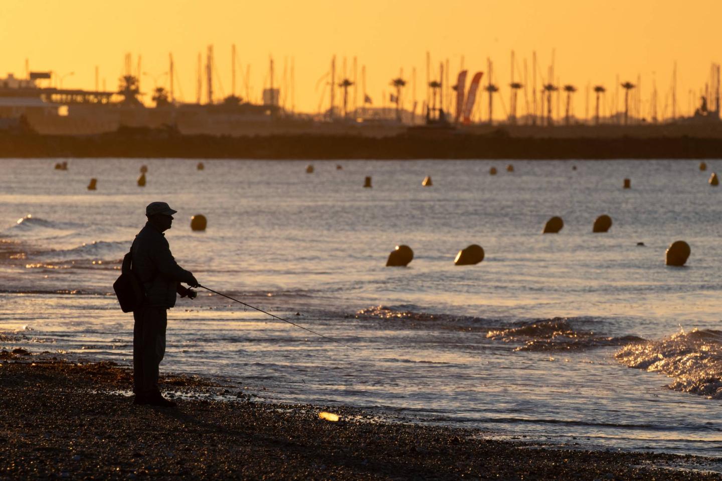 Investors go 'phishing' for gold in the cybersecurity market.