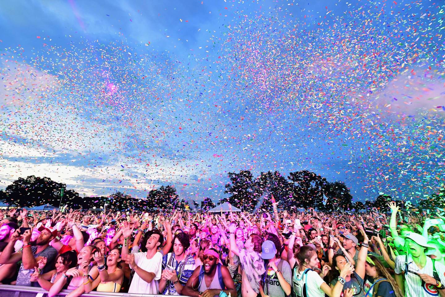 Bonnaroo Arts And Music Festival