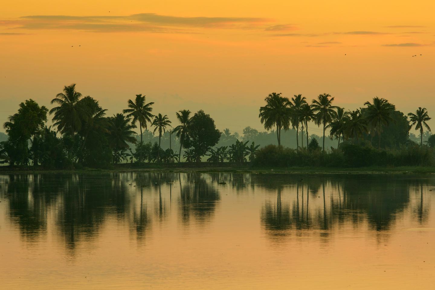 Malabar Escapes