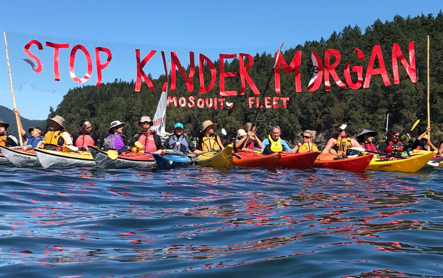 US-ENVIRONMENT-GREENPEACE-ACTIVISM