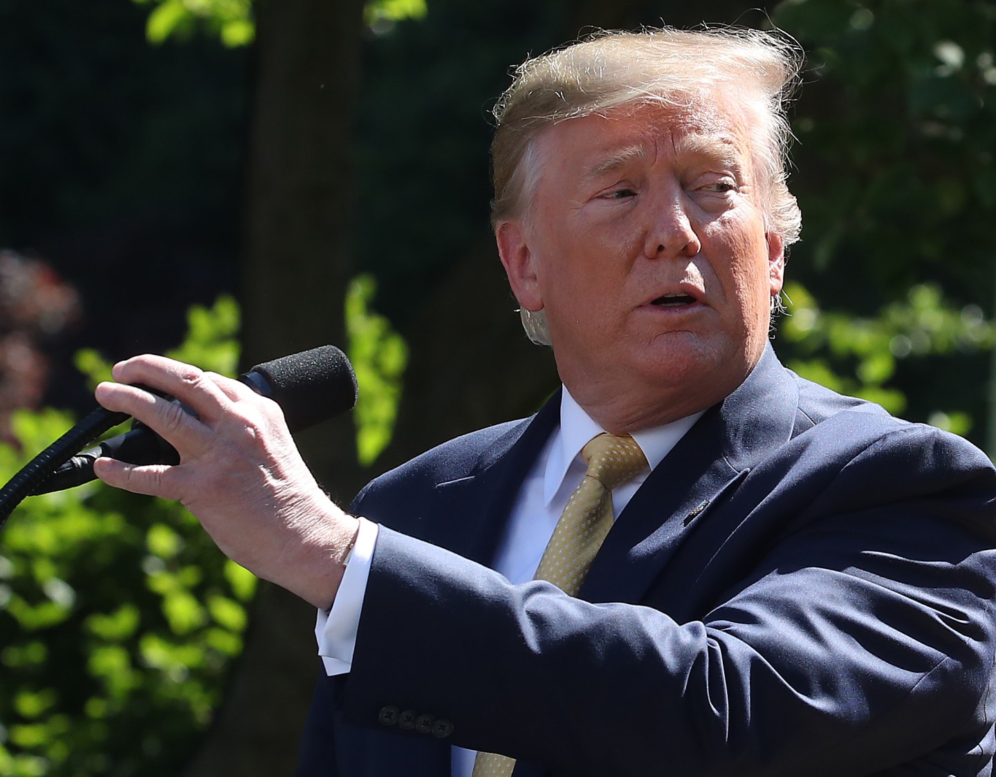 President Donald Trump Delivers Remarks In The Rose Garden On Expanding Health  Coverage Options For Small Businesses