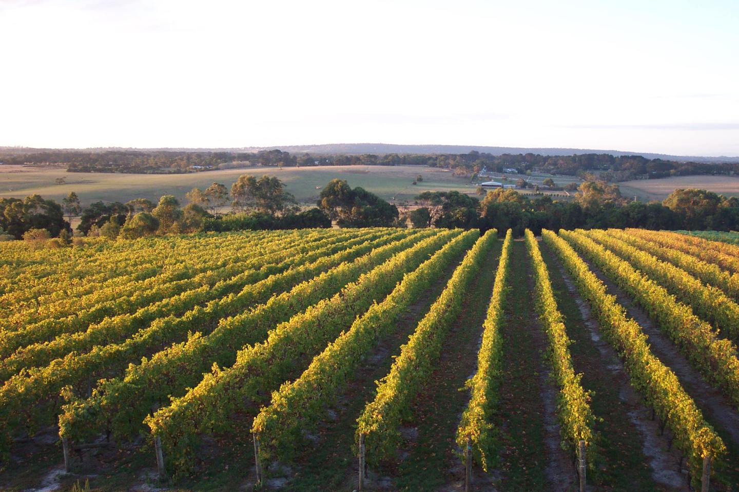 This Australian Paradise Combines Everything You Love About Sonoma and the Hamptons