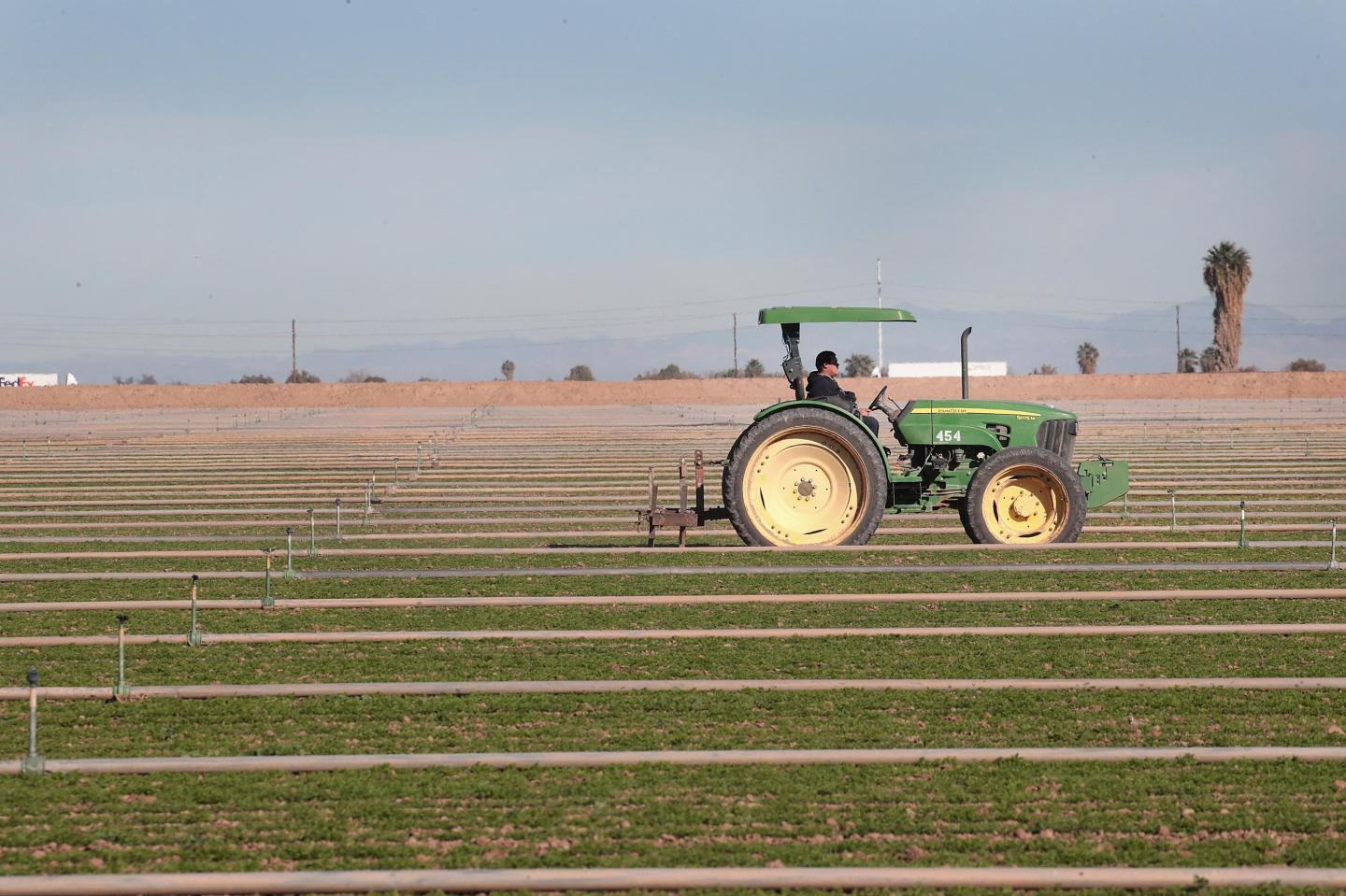 A farm worker drives a tractor through his field