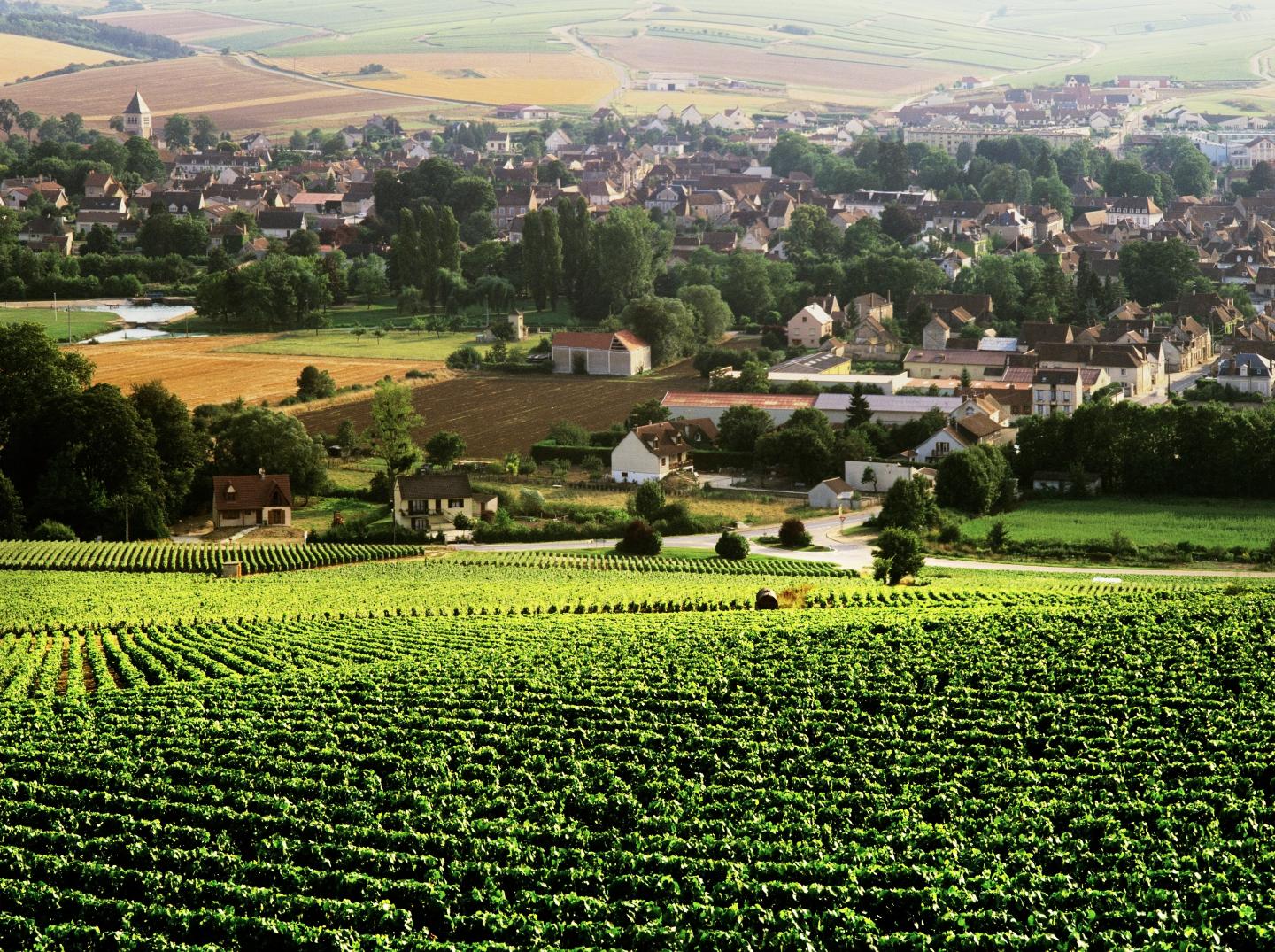 Meet the New Generation of Women Winemakers Tending One of France’s Most Cherished Wines