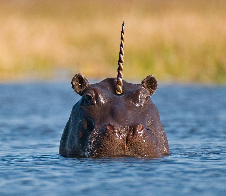 Exclusive: Comcast-Championed Home Insurer Hippo Hits $1 Billion ‘Unicorn’ Valuation