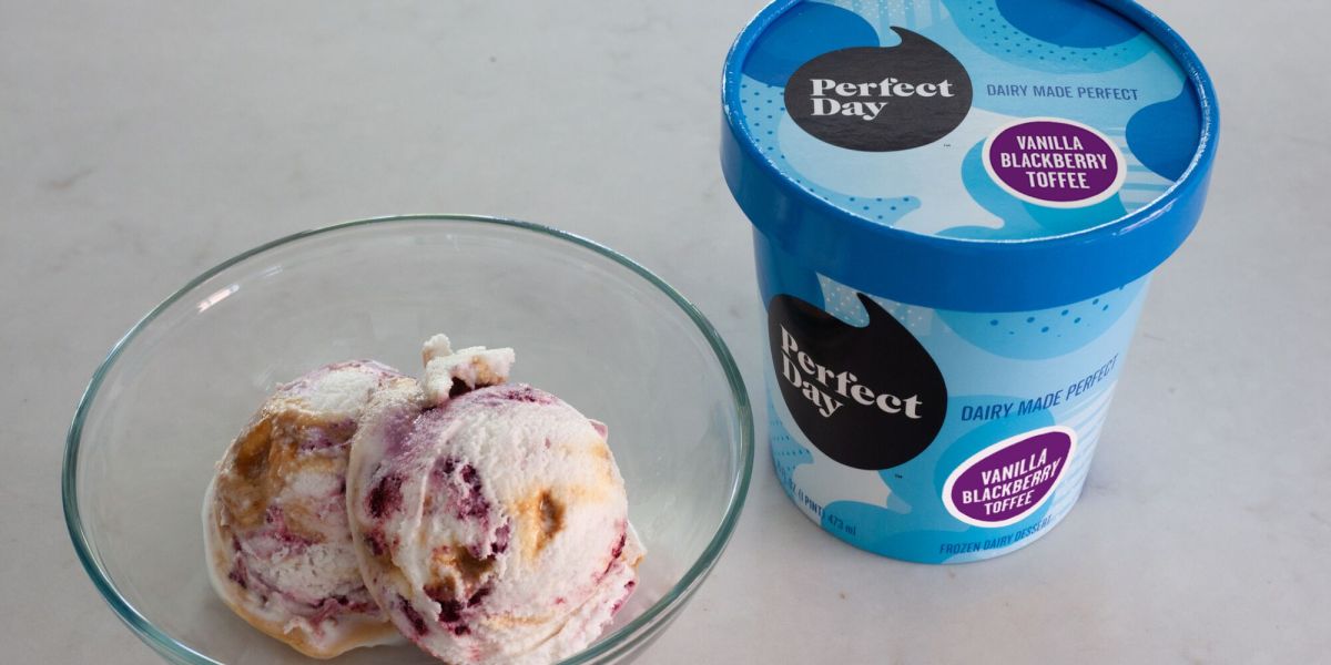 perfectdayicecream.jpeg?resize