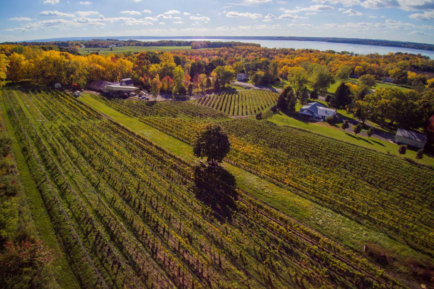 Heart & Hands Winery Finger Lake Region
