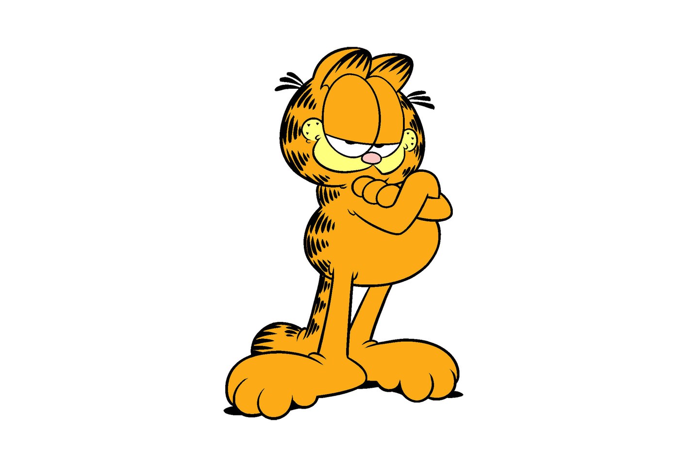 Garfield Viacom Nickelodeon