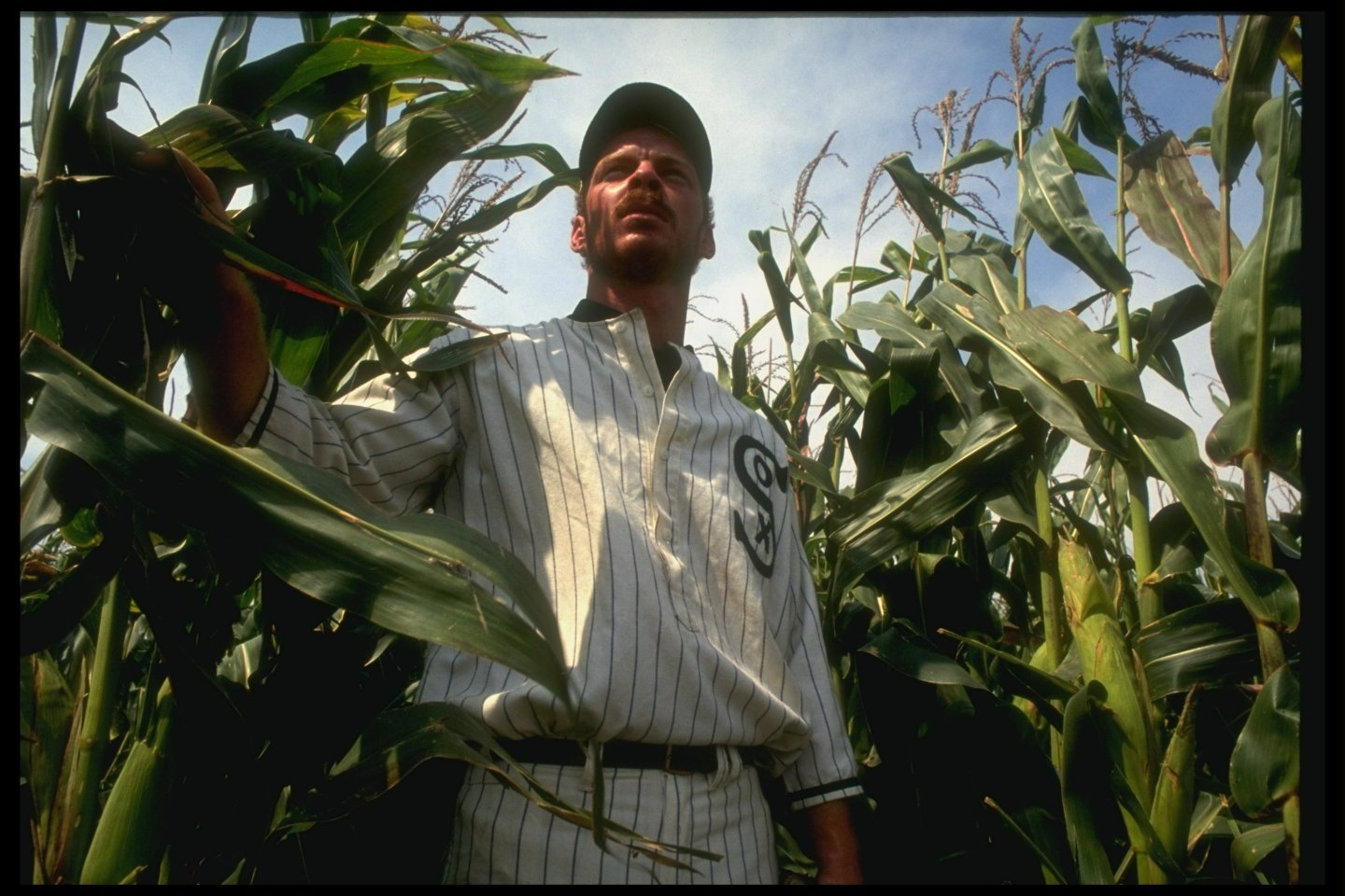 A man in a vintage Chicago White Sox uniform emerges from a cornfield, re-enacting a scene from "Field of Dreams"