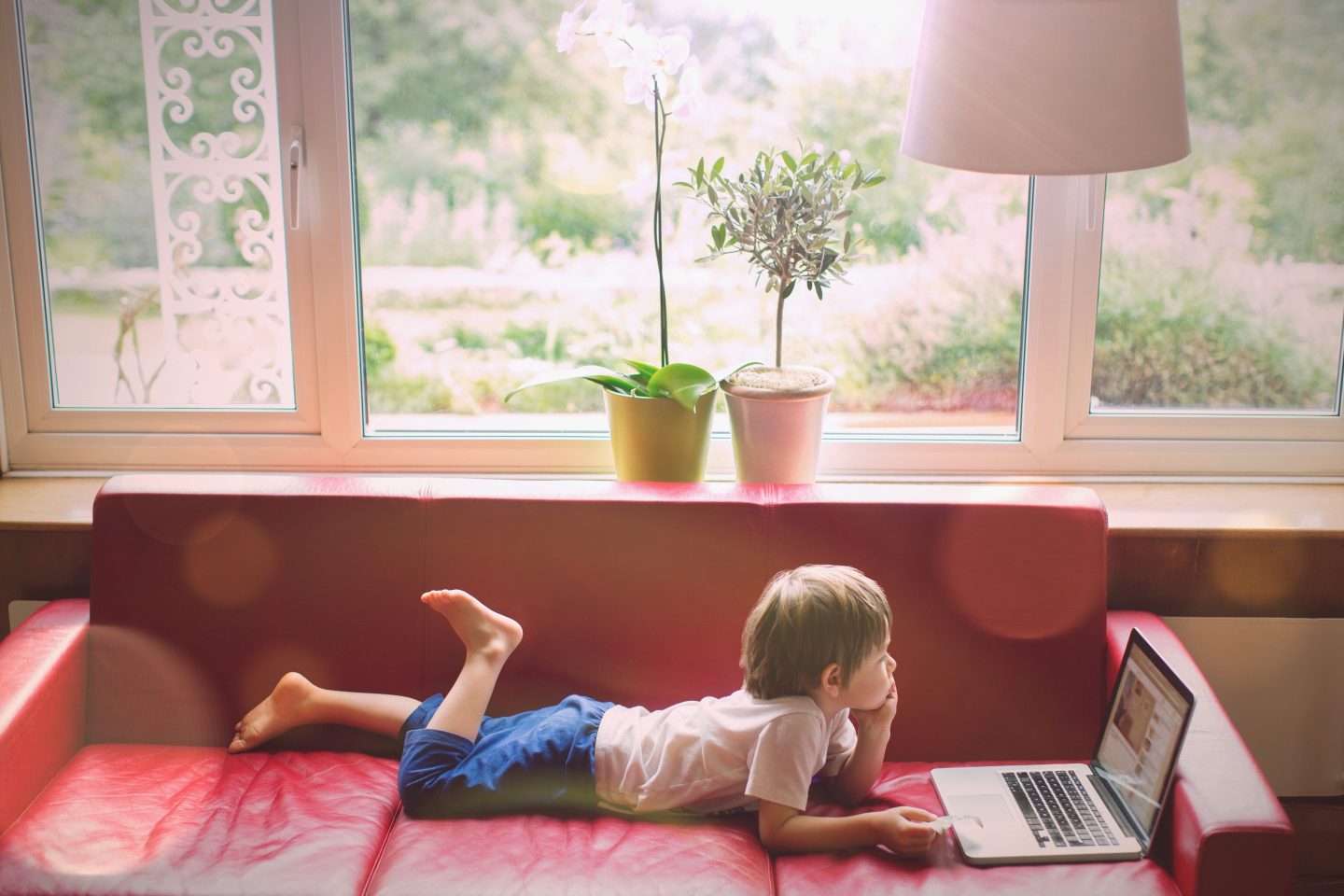 Boy using laptop on red leather sofa in living room
