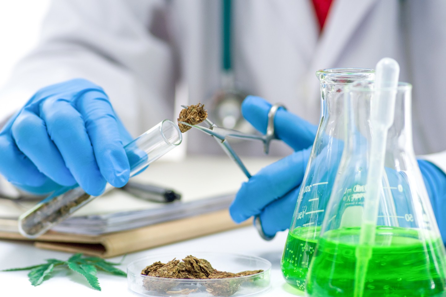 Marijuana Research DEA