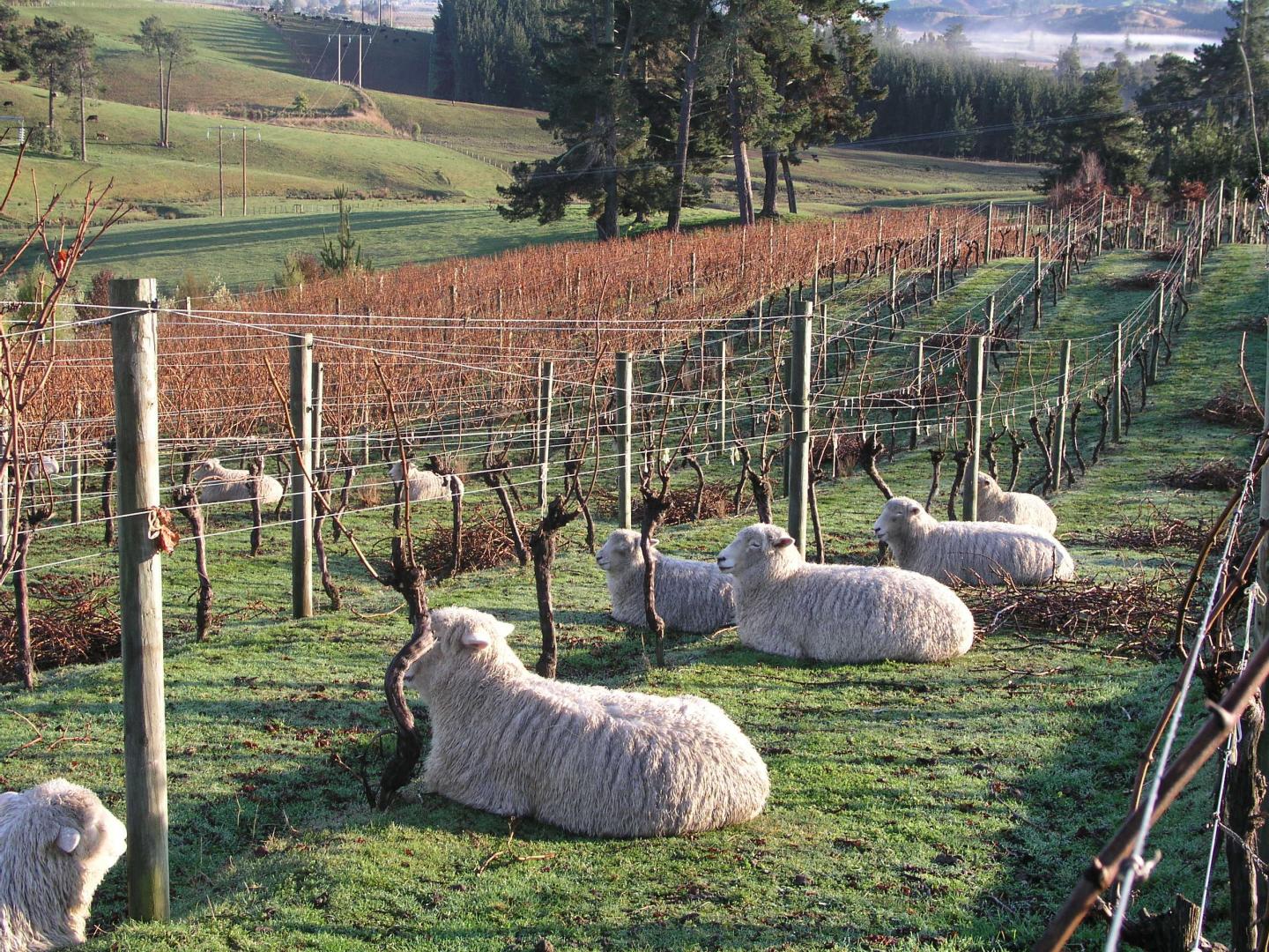 New Zealand’s Hottest Destination Is One You’ve Likely Never Heard Of