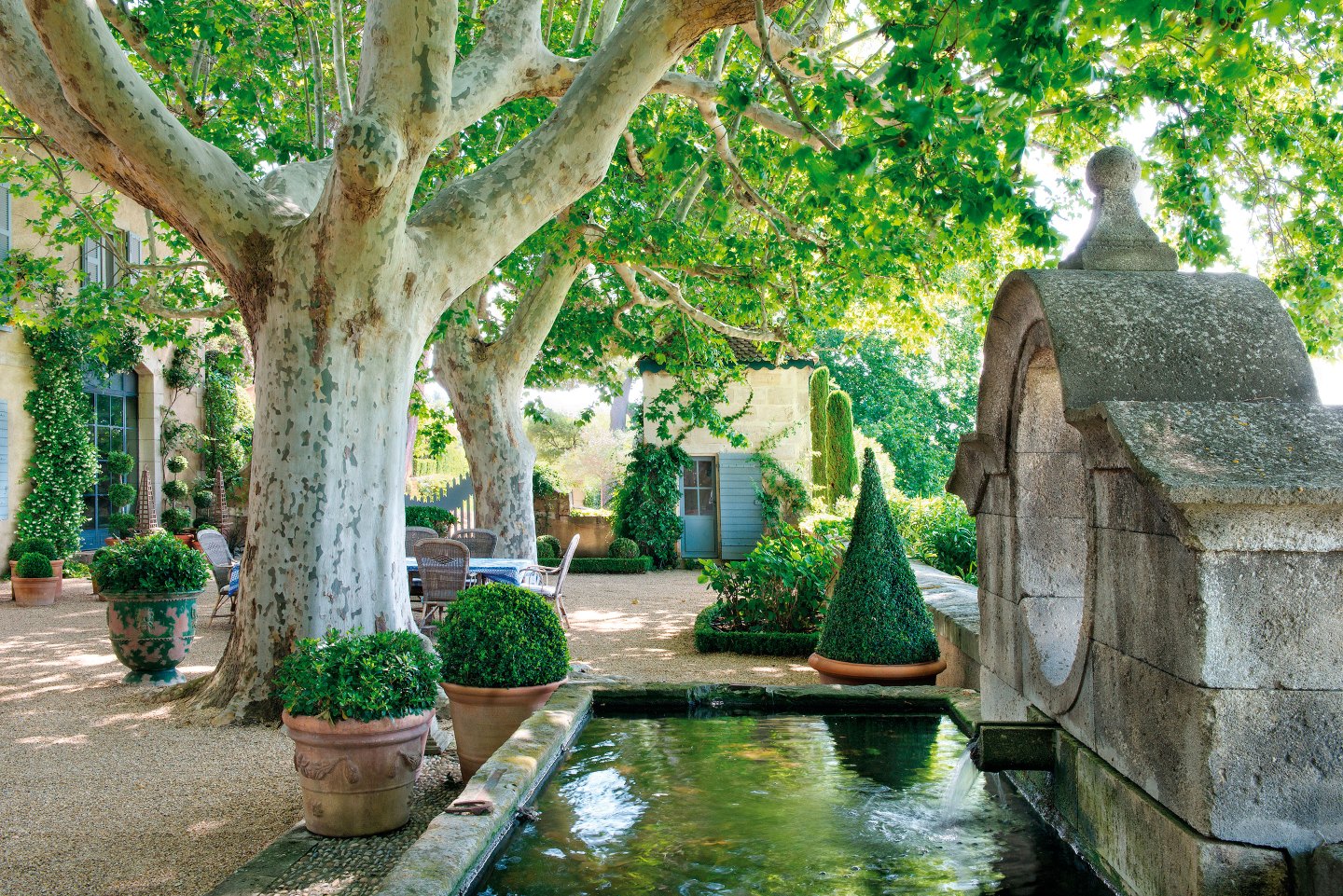 PAS09.19-Provence Mas de Baraquet