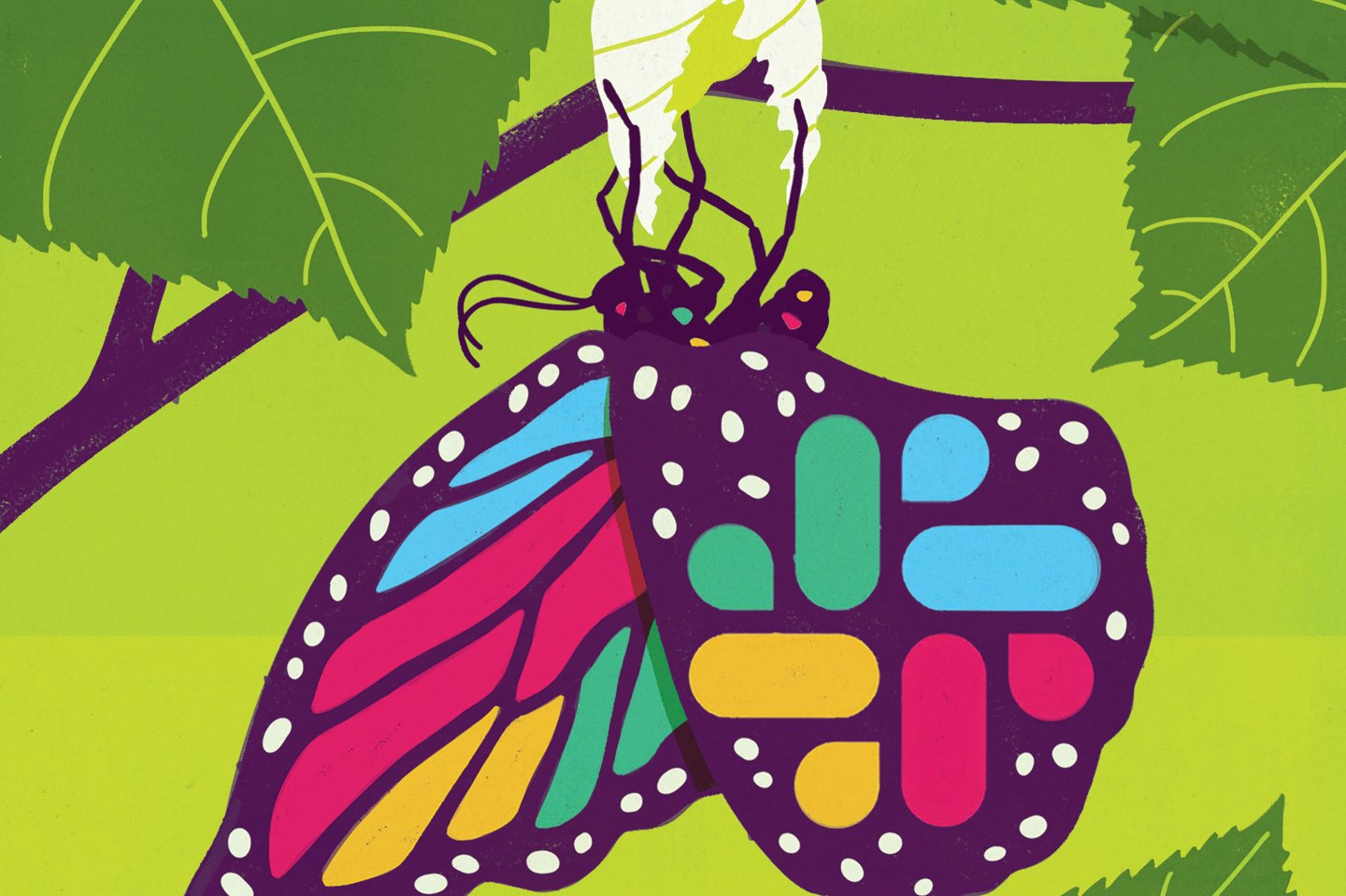 SLA09.19-Slack Butterfly