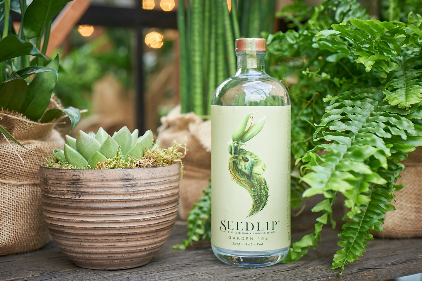 Diageo’s Stake in Seedlip Proves Booze-Free Spirits Are Big Business