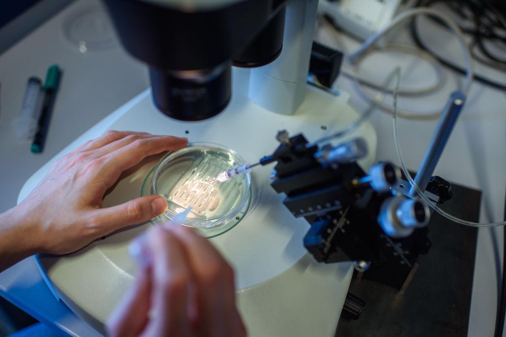 Beam Therapeutics IPO CRISPR