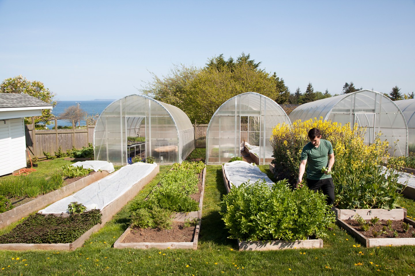 Bellingham Restaurants-Willows Inn-Farm