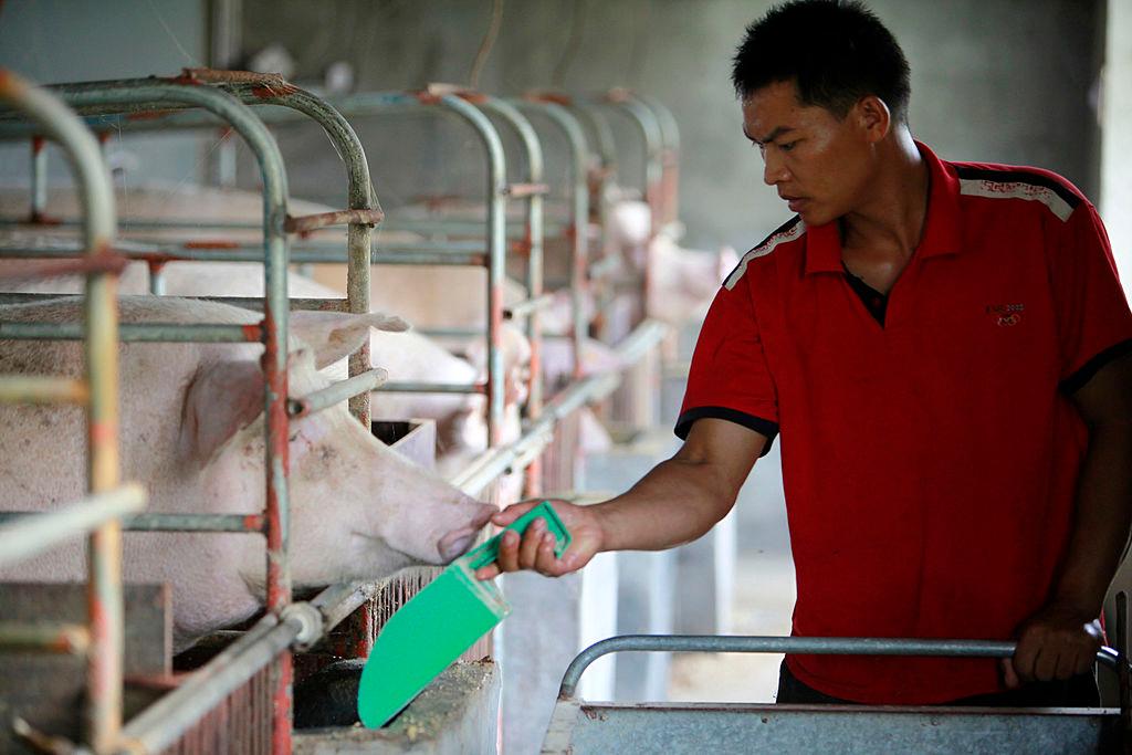 Pork Prices In China Fall At End Of July, Statistic Bureau Says