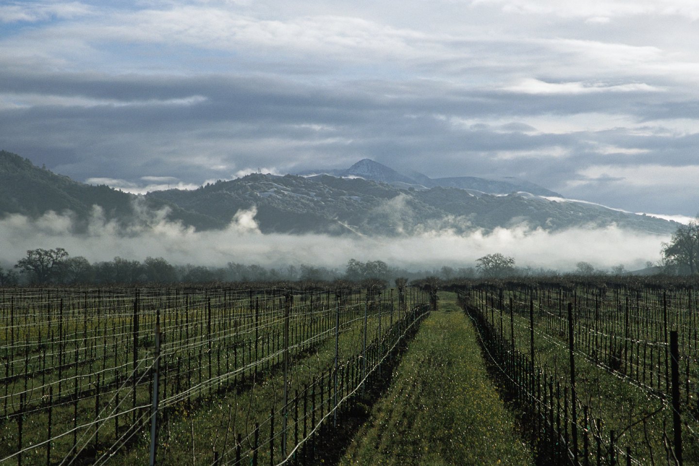 A clearing winter storm reveals the nearby Mayacamas Mountains in this 2007 landscape photo.