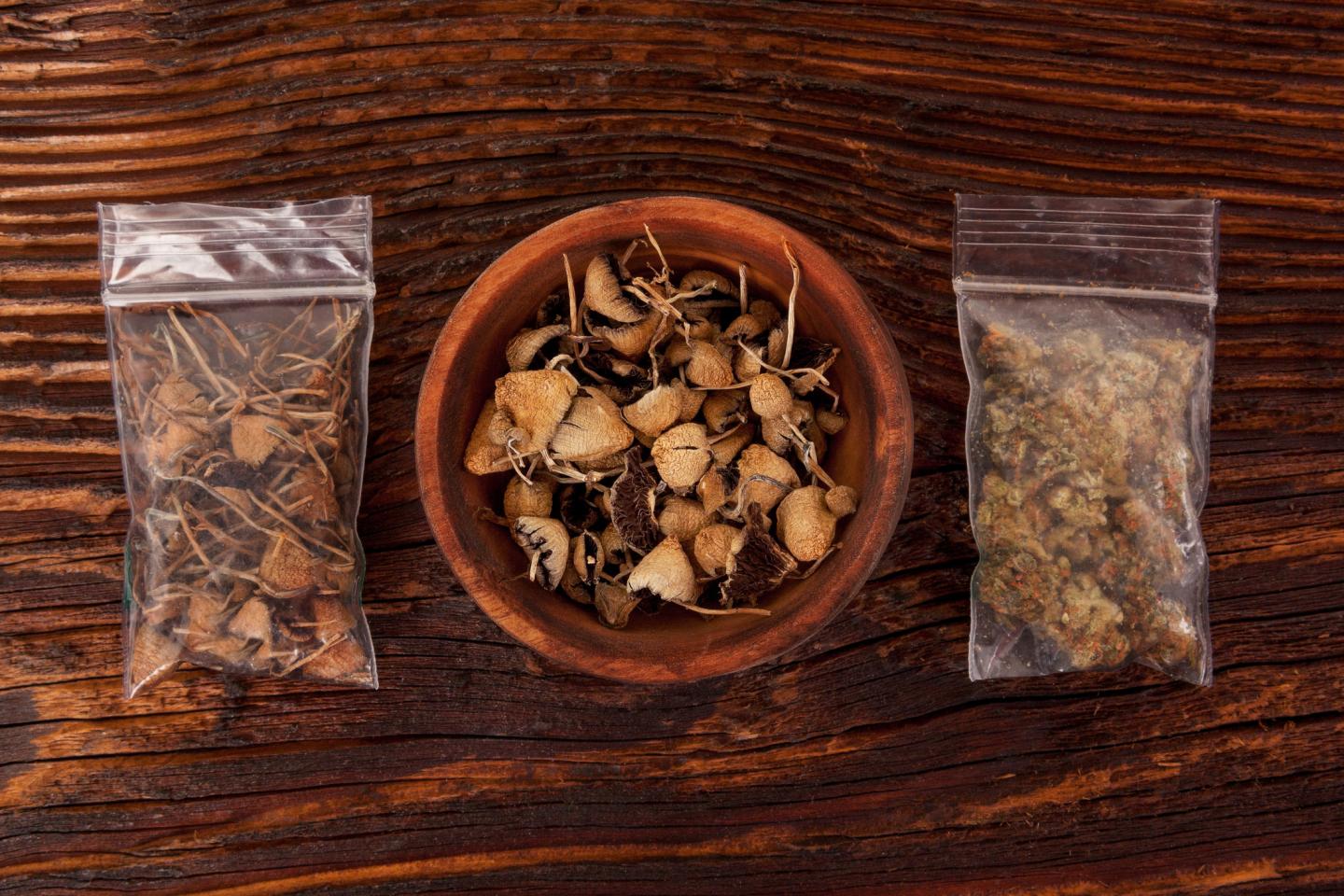 Johns Hopkins Psychedelic Research Mushrooms