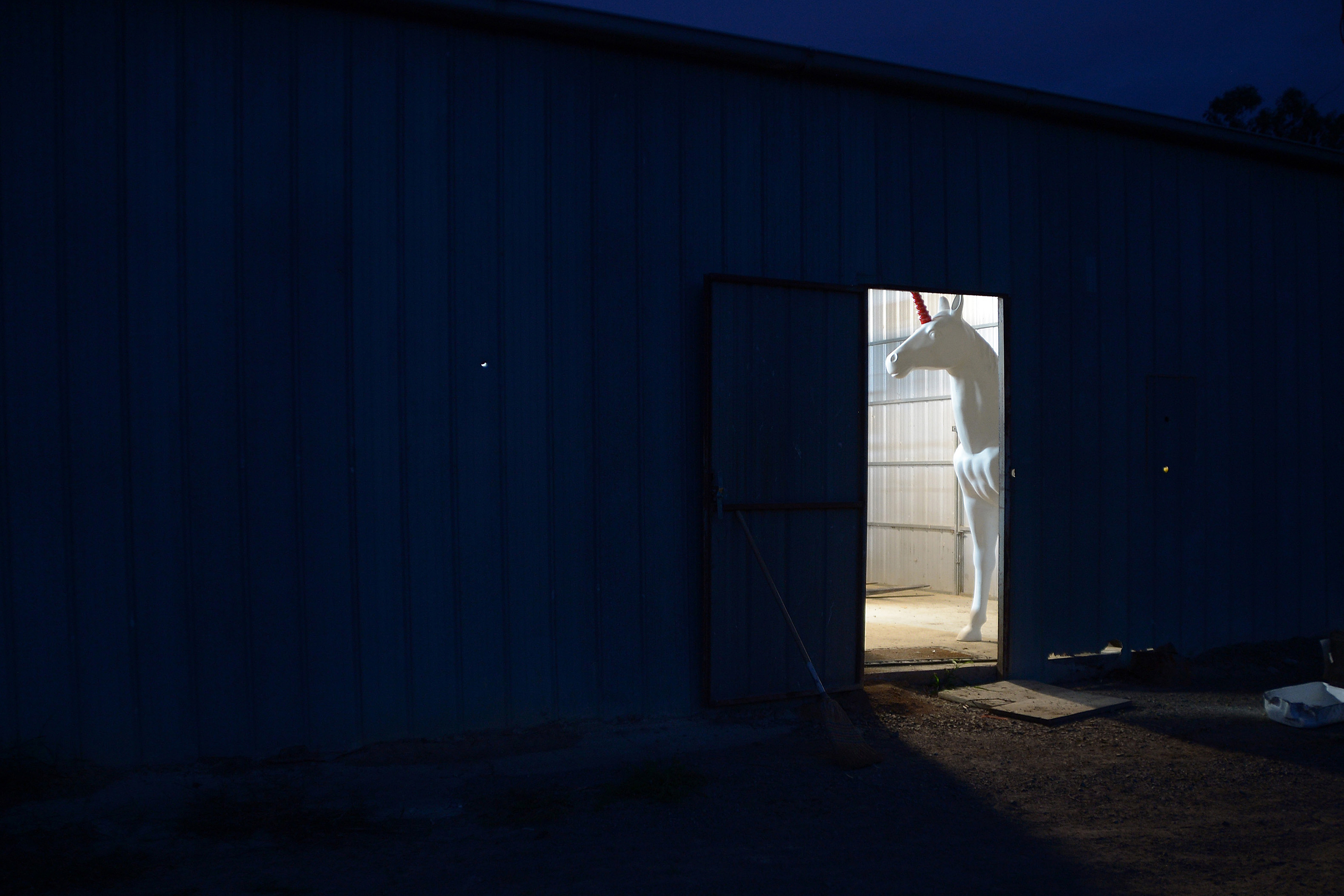 Unicorn Mascot in Shed