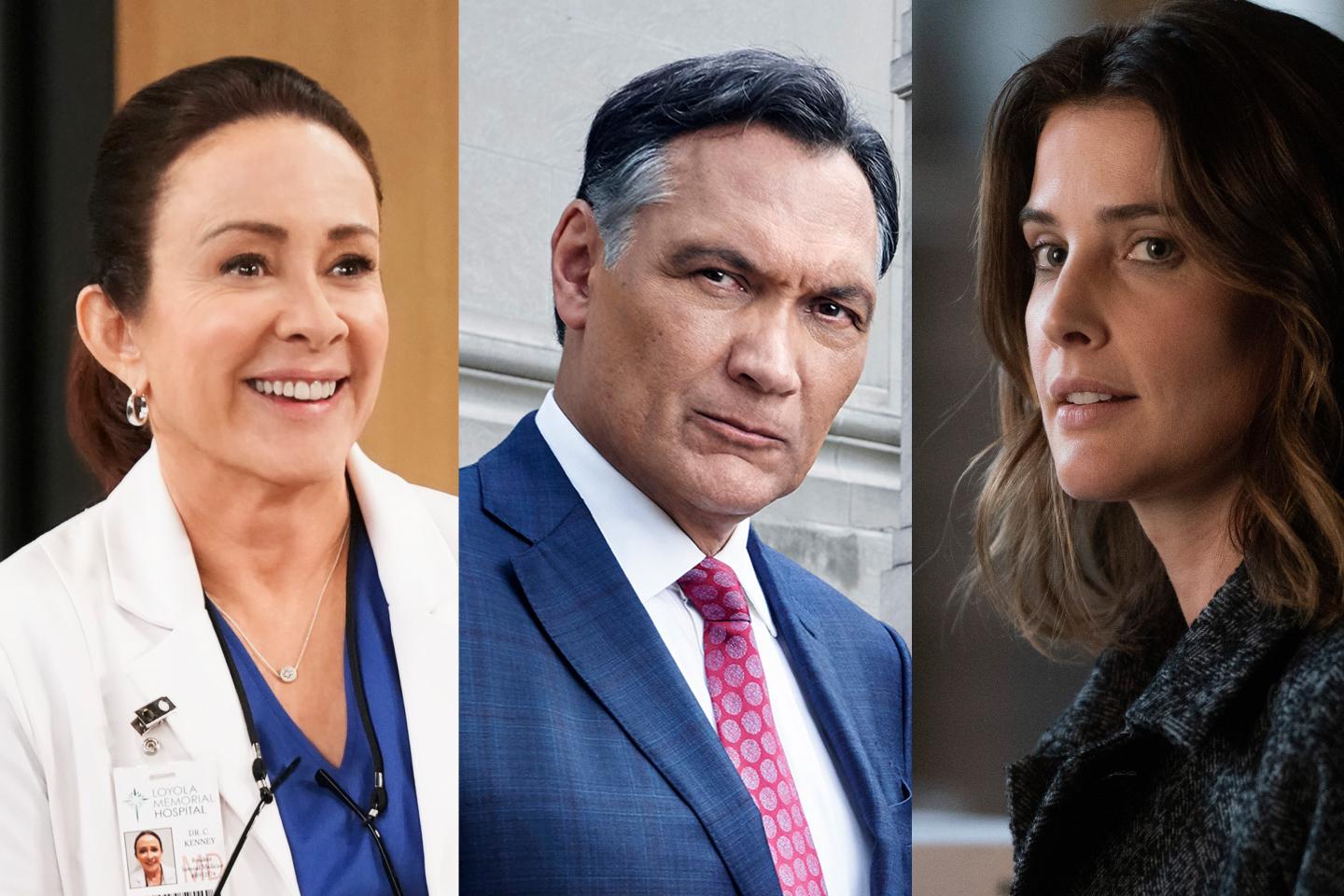 Fall TV New Shows Old Faces