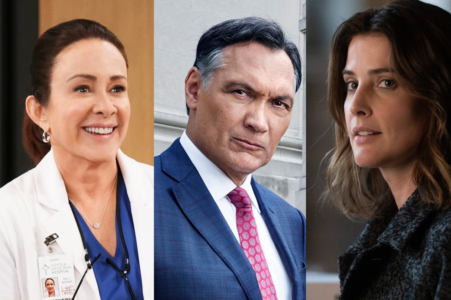 Fall TV New Shows Old Faces