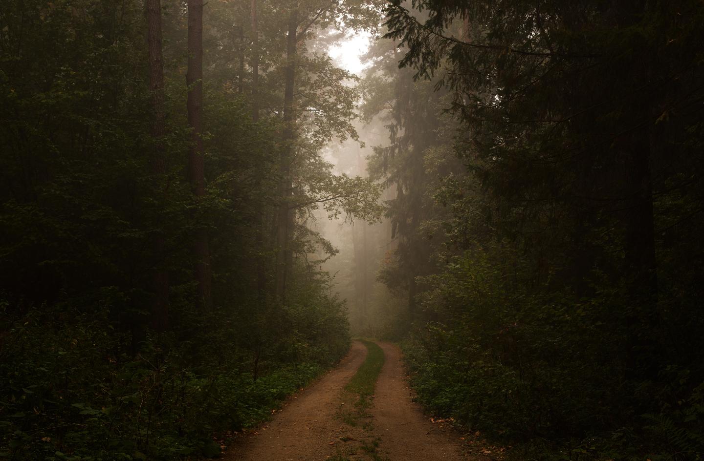 Empty Dirt Road
