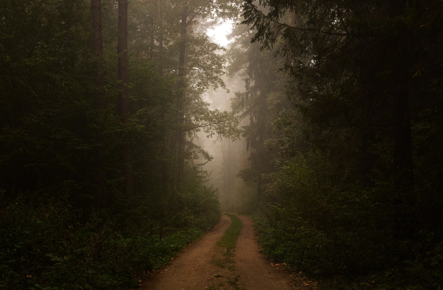 Empty Dirt Road