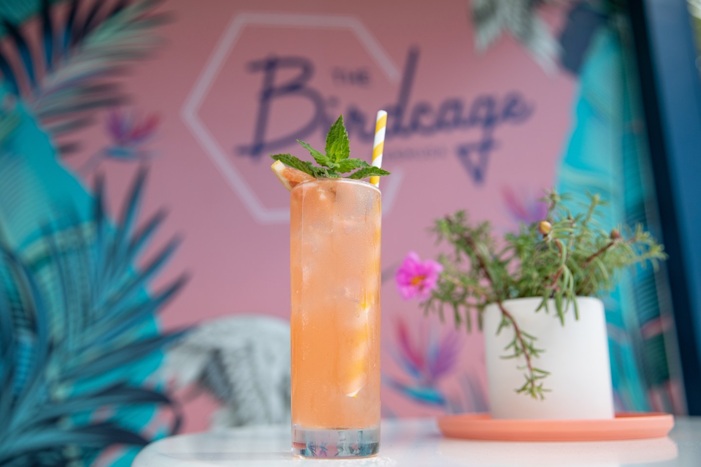 A Rum Swizzle is a rum-based cocktail often described as "Bermuda's national drink."