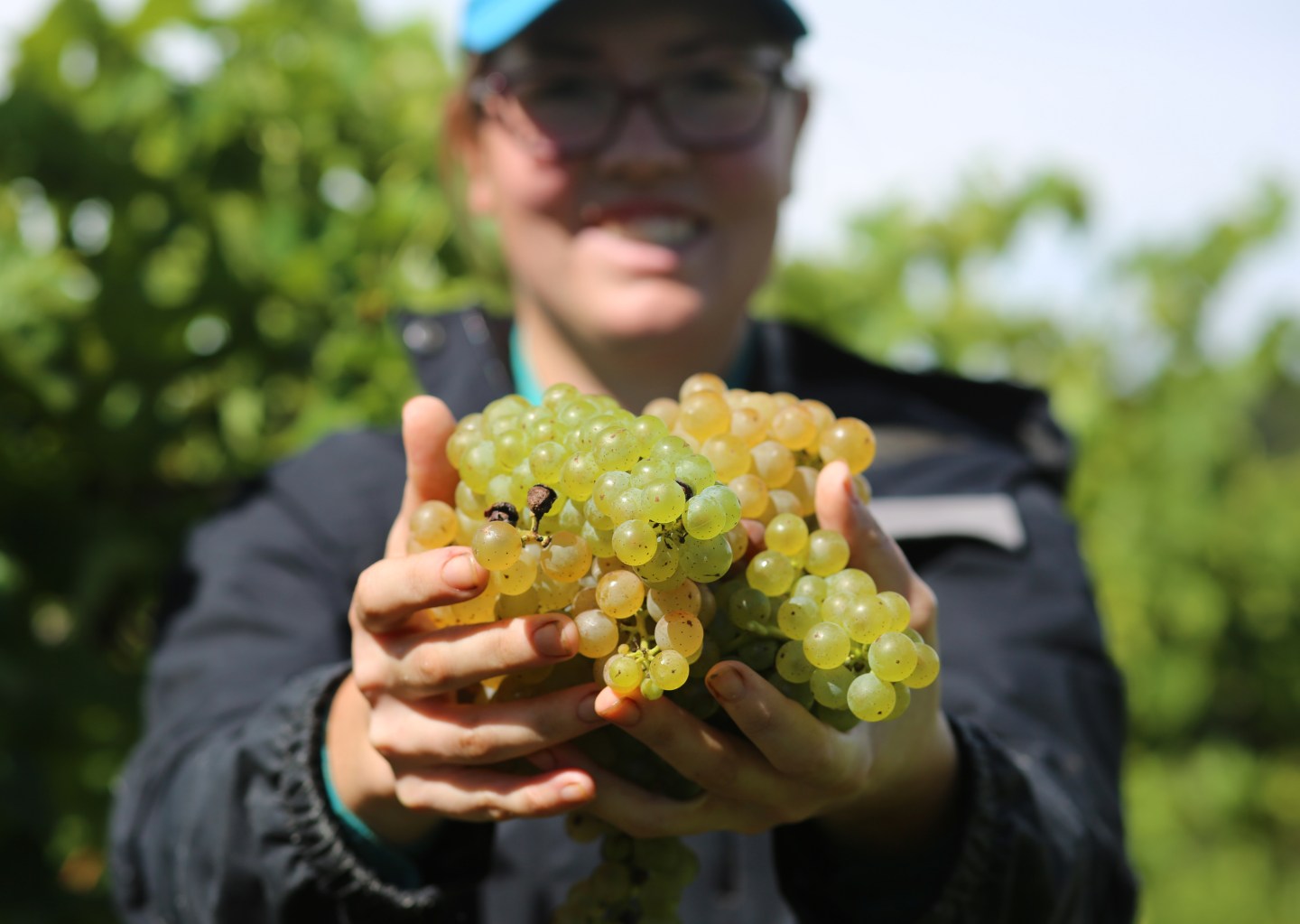 Galen Glen Winery produces cool climate wines from small lots on its 20-acre vineyard in the Lehigh Valley.