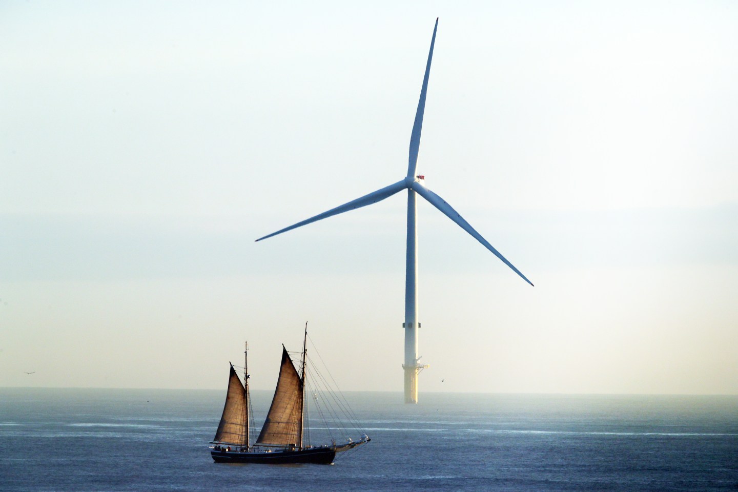 The 'tall ship' William II passes a wind turbine as it sails along the north east coast near Whitley Bay in Tyne and Wear after it set off from Blyth in Northumberland on a voyage round the coastline of Great Britain calling at 10 ports en route and changing crews at each stage.